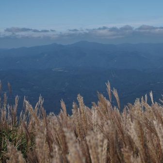 下山を開始しようと思ったら、ガスが晴れてきて、この日は見ることはないと思っていた英彦山を見るこことが出来ました。