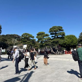 鶴岡八幡宮到着！

結構遠かった。