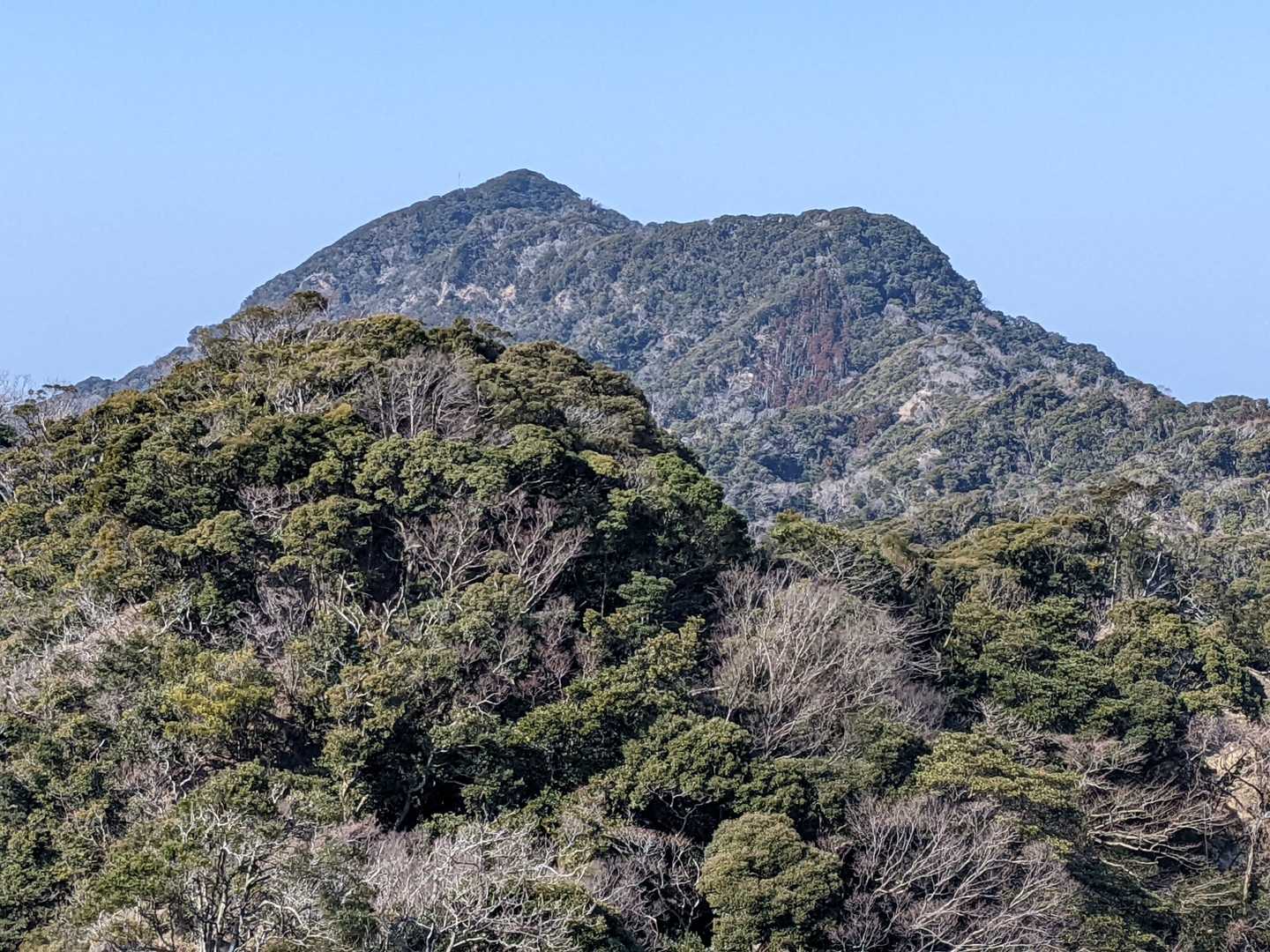 このアングルからの鋸山がかっこいいんですよね～(^_^)