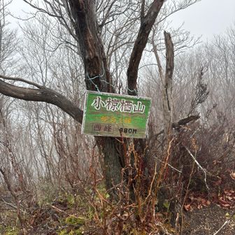 西峰🚩880m オグラス山と読む⁇
