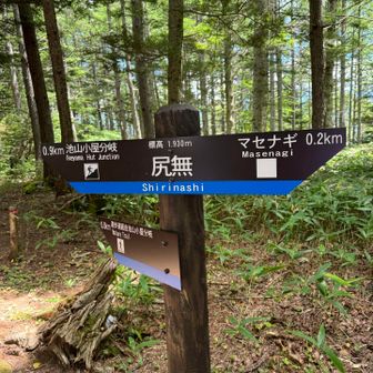 分岐で進行方向確認