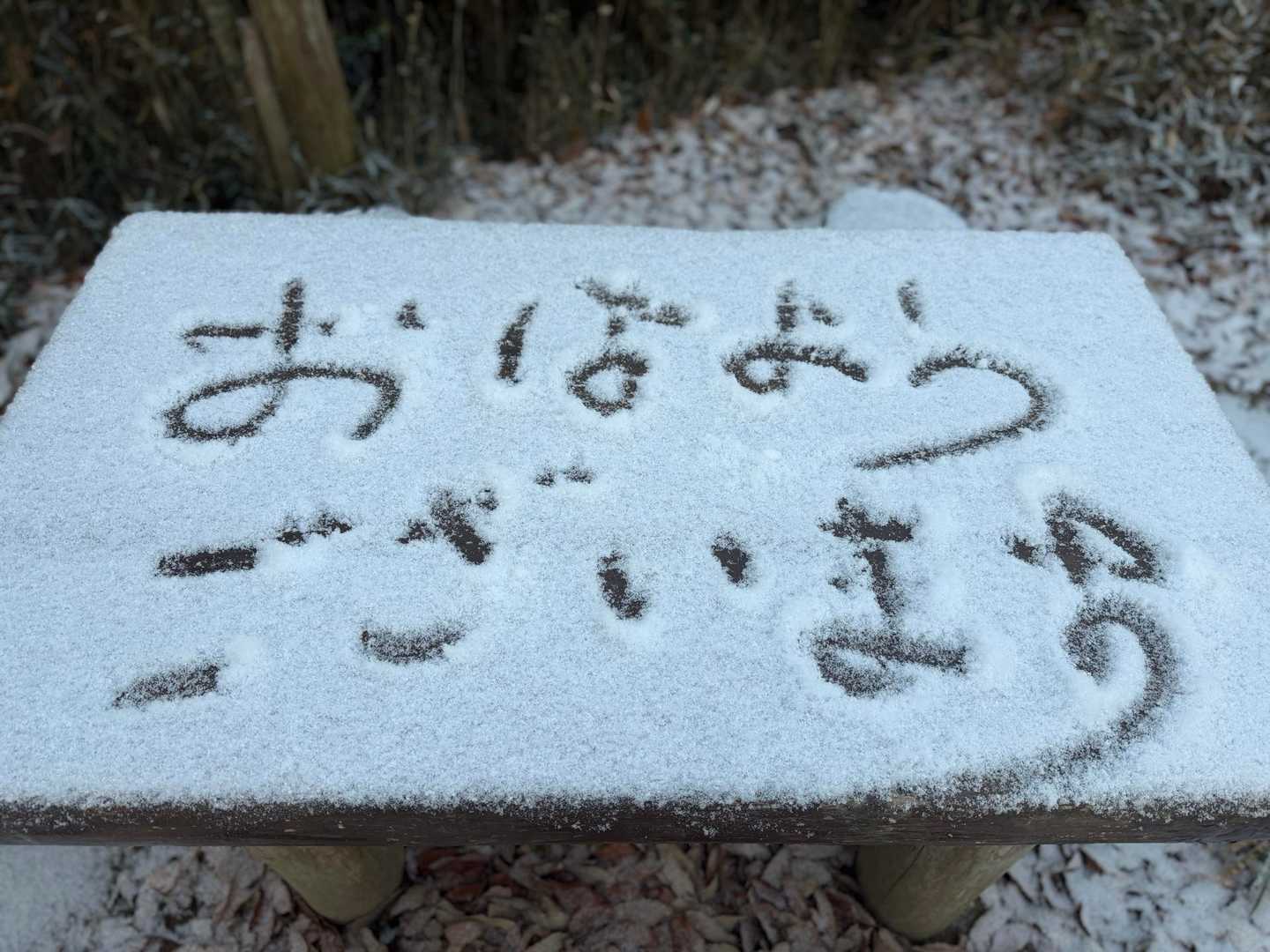 おはようございます😃
道中、何個か書いてあった笑