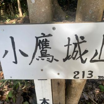 藁がかしを見たあと近くのお山へ