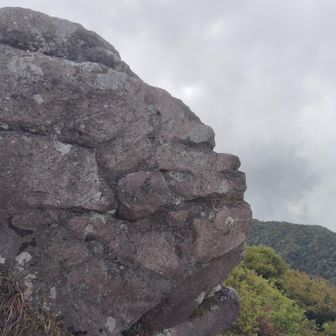 ゴリラ岩