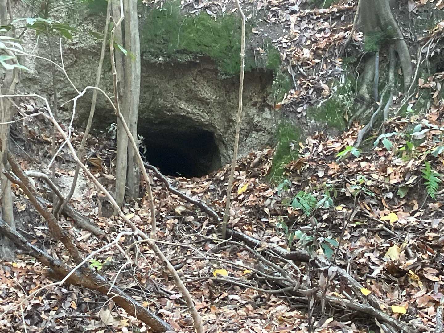 途中、かつての防空壕？らしき穴がまだ残ってます。
幼児の頃の記憶では(昭和32~3年頃)尾道の自宅近くの裏山にも防空壕の跡がありました。怖くて入れませんでしたが、その後埋められました🤣