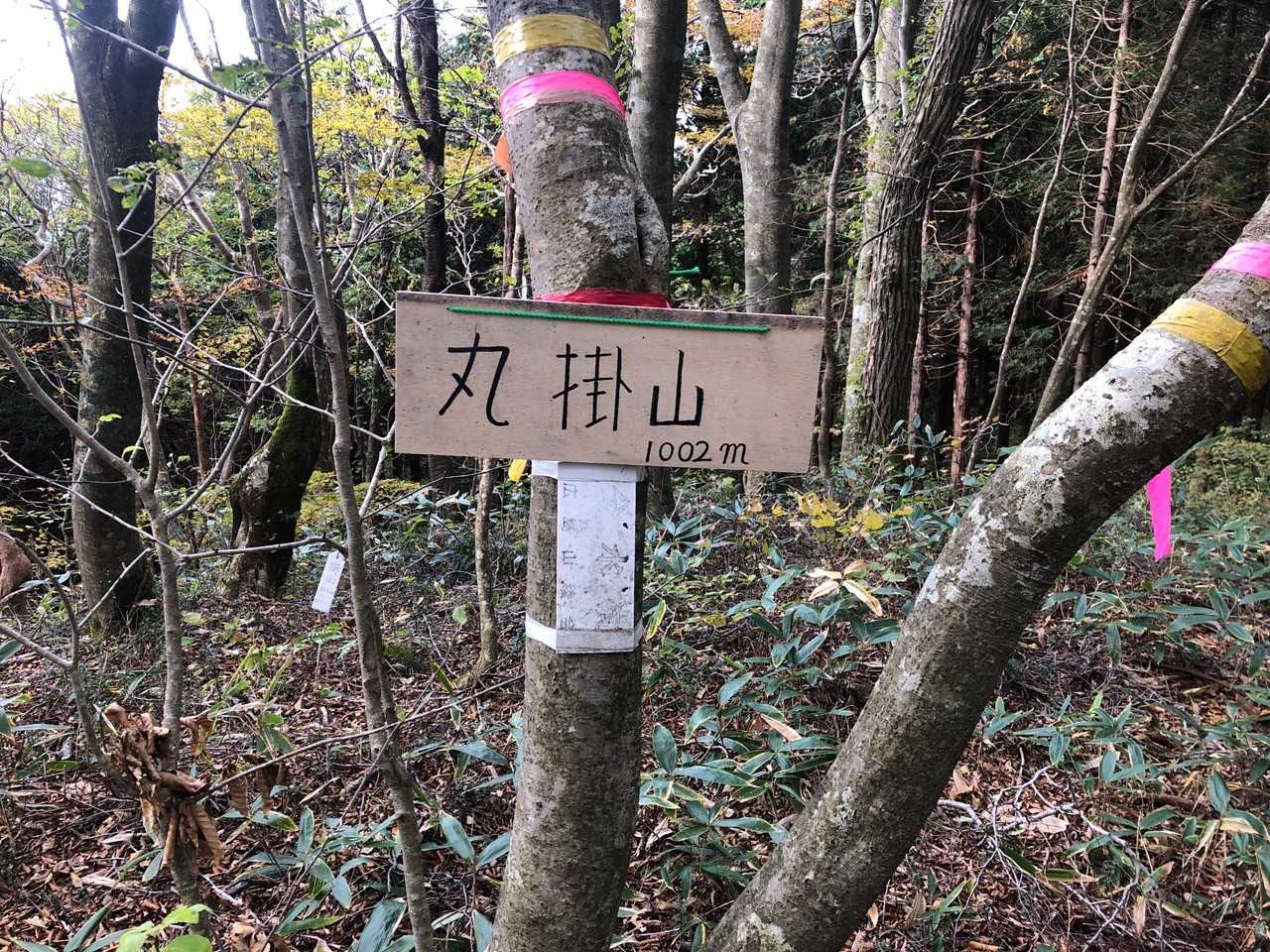 さらにこちらも景観なし…