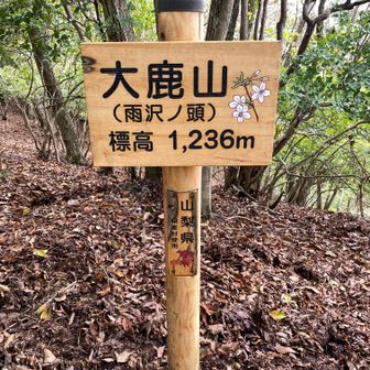 大鹿山に到着。
今日イチの立派な道標