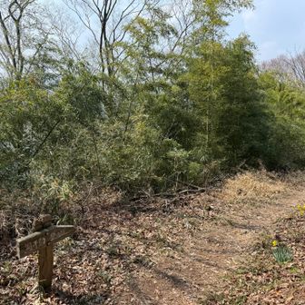 お饅頭買って中級コースを下山