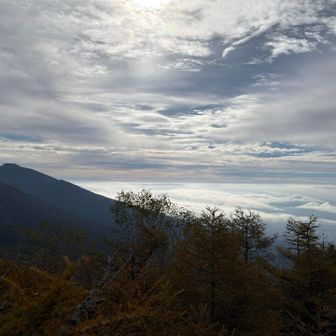 高曇りか☁️