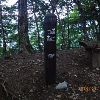 和佐又山との分岐　ベンチ