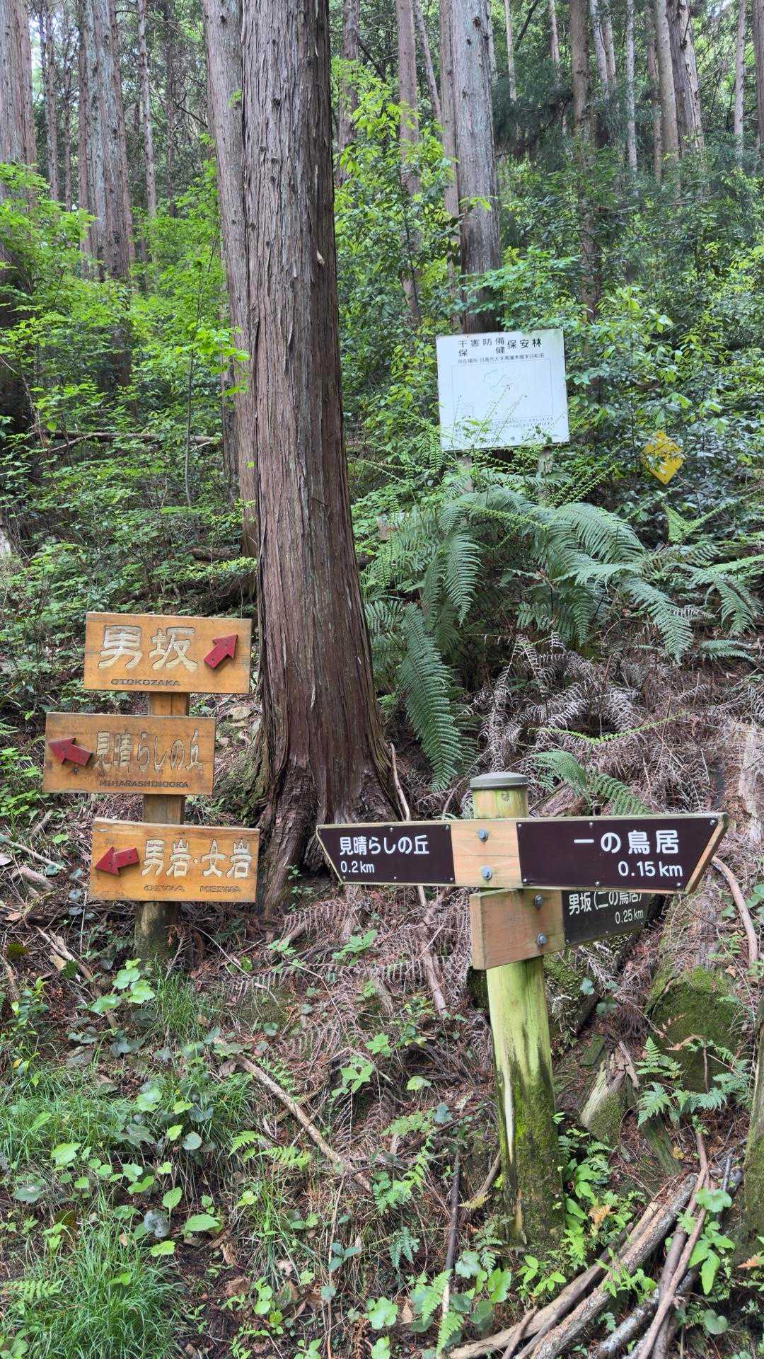 日和田山登山口-日和田山-物見山 周回コースの写真