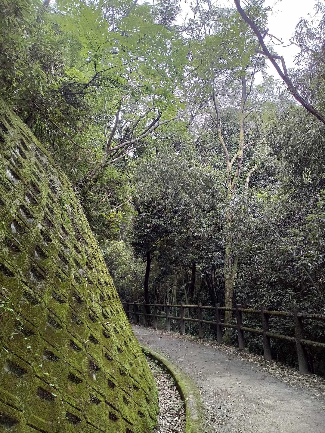 国見山登山口 往復コースの写真