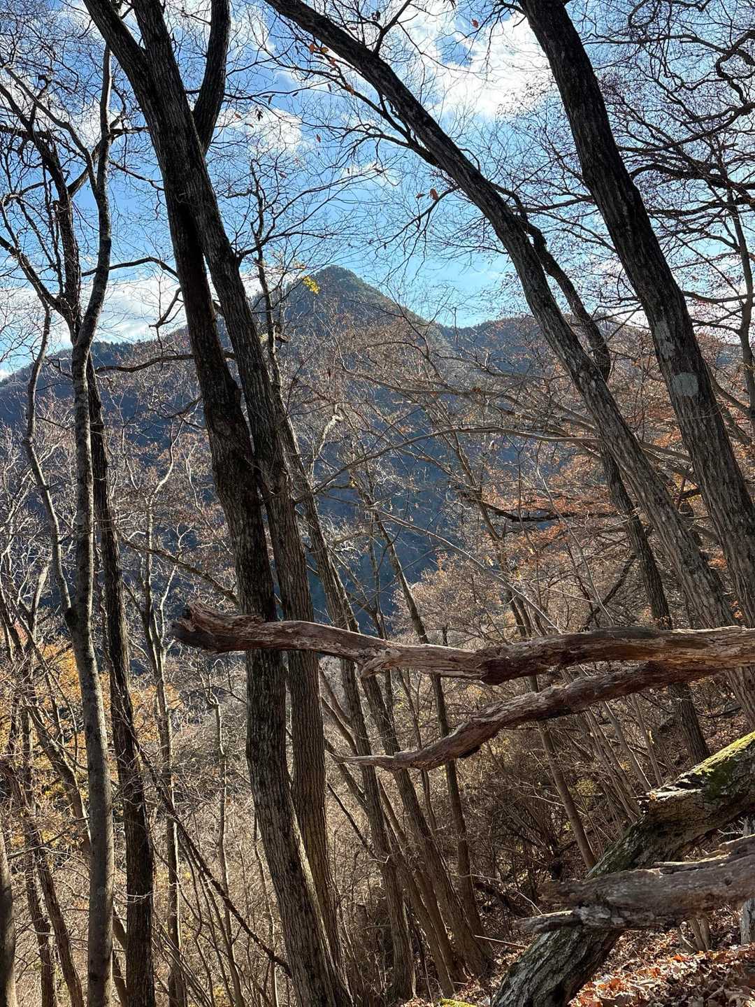 倉岳山⛰️
倉の字そのまんまの形だね