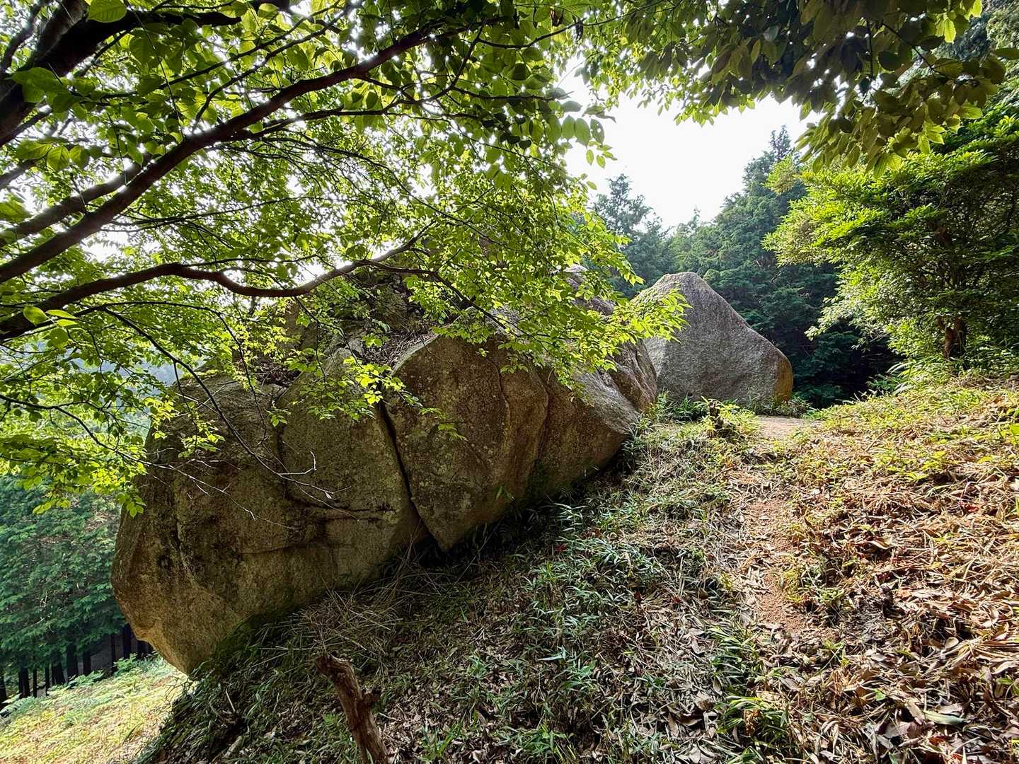 国見山 往復コースの写真