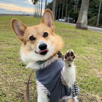 あきちゃんママ
