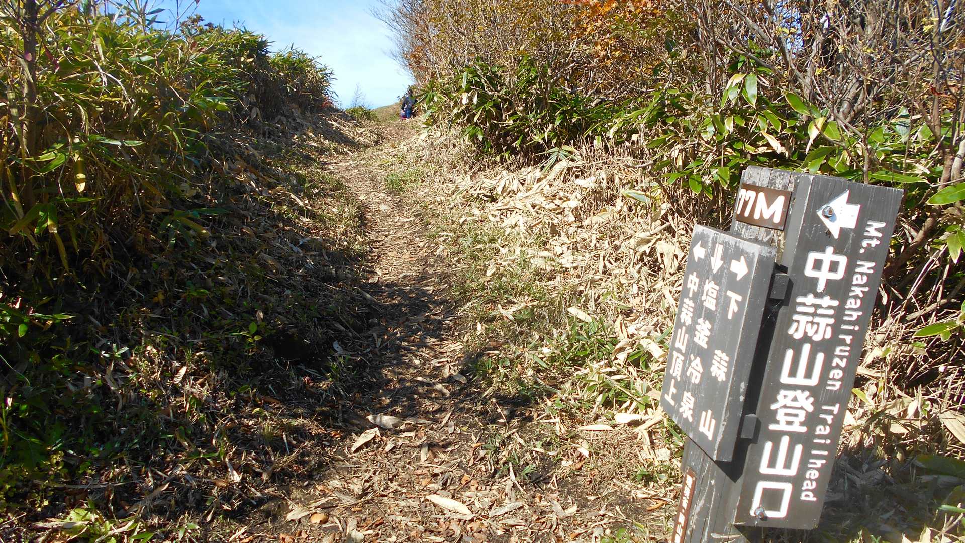 ここを左へ。中蒜山の山頂へ向かいます。