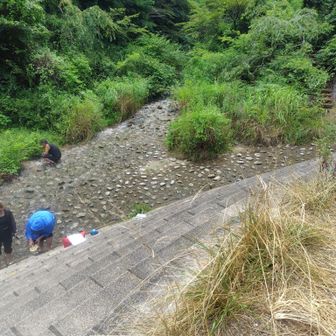 道路の反対側の川へ💨。
階段の上に、何物のか分からない落とし物💩が😱。
怖いし気分⤵️。