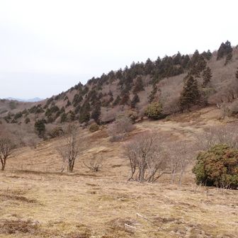 開けた草原地帯
意外な風景です