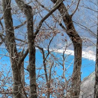 本巣湖ブルー発見💙