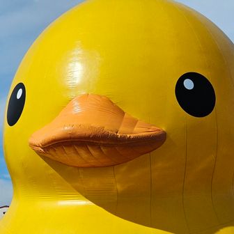 ラスカル🔺ネロ