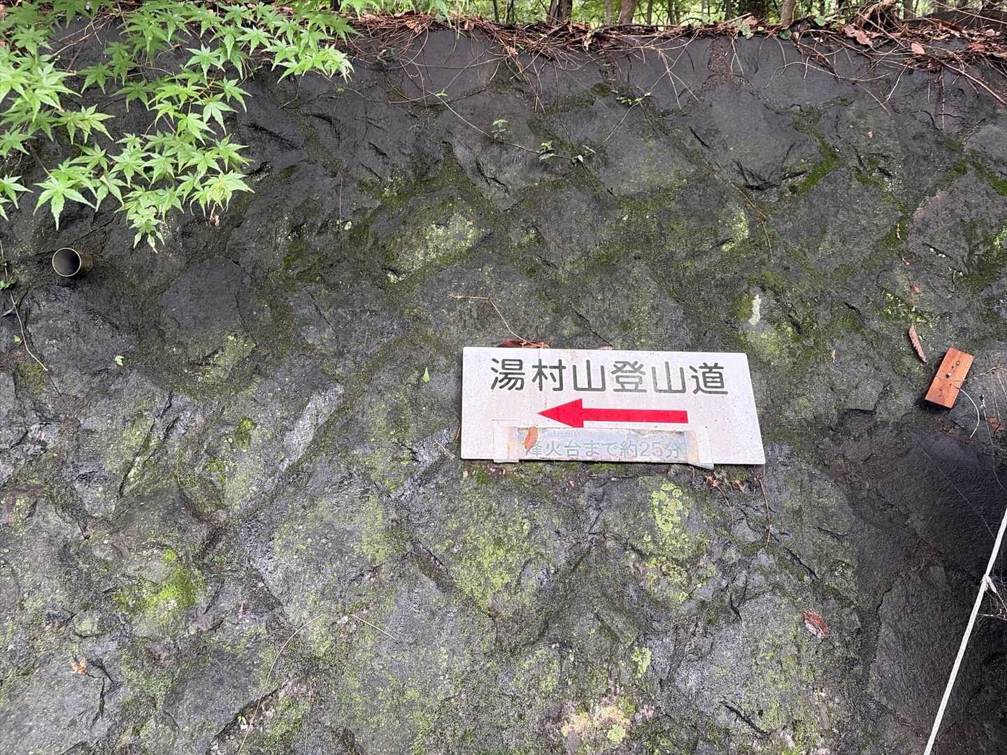 ここから登ります