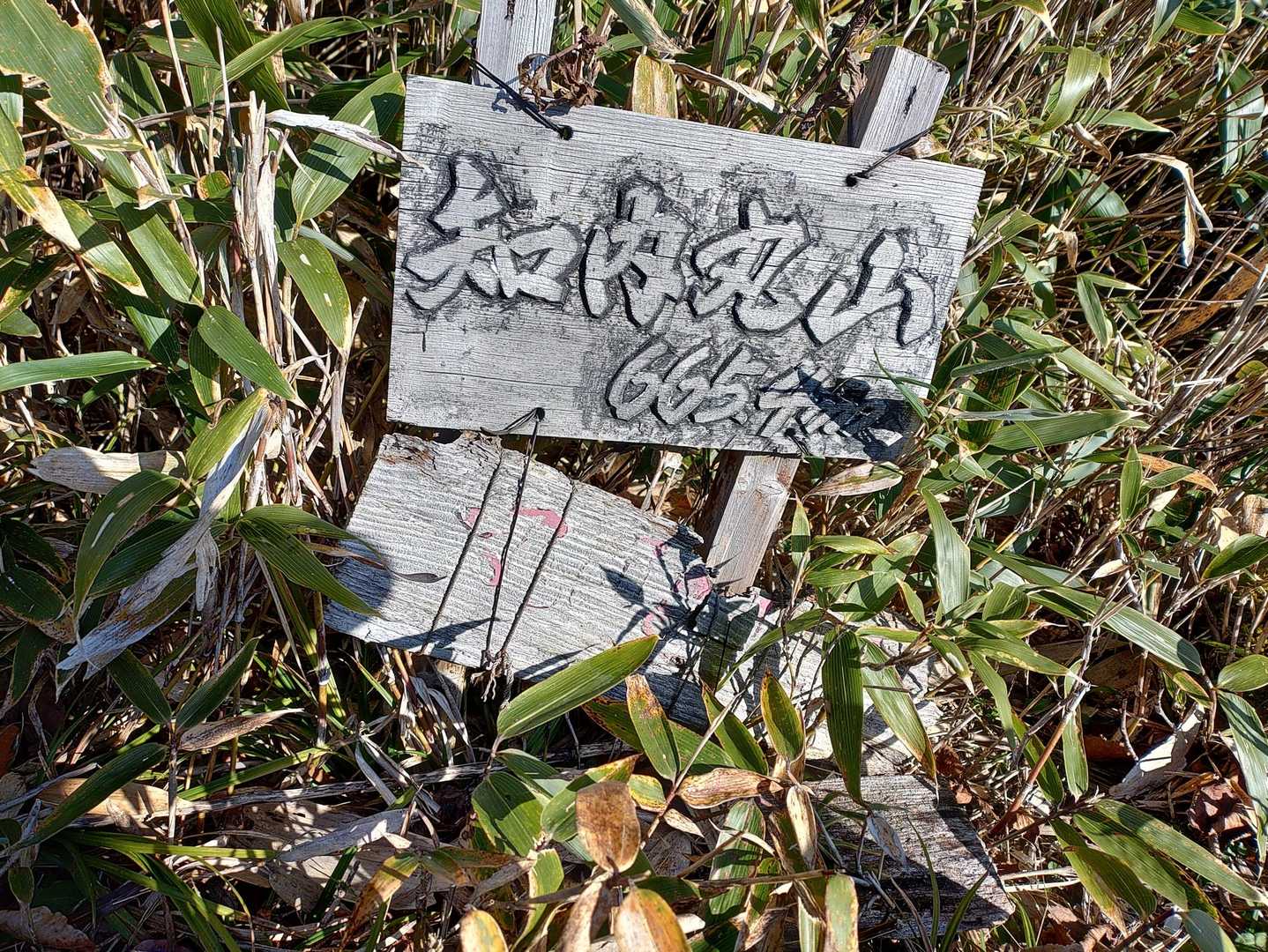 山頂到着