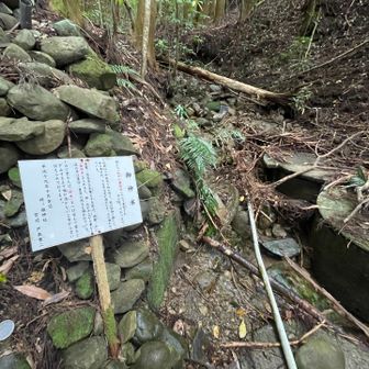 写真にうまく写せなかったけど、護神水が流れてる小さな沢が！
おなかが心配なので、ちょっとだけいただいてみました🙏