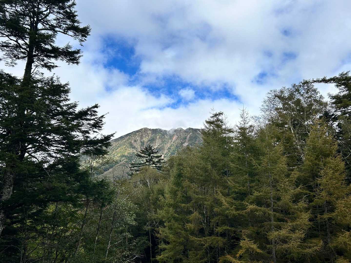 木々の間から太郎山が見えます👀