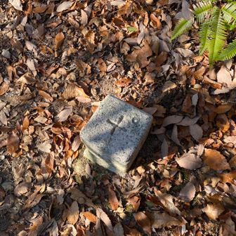 満願寺西山の三角点