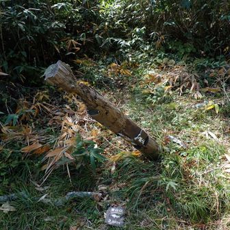 石神山分岐から先は、完璧に刈り払われてます。感謝。
