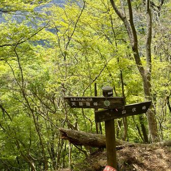 山崎峠を目指して下山