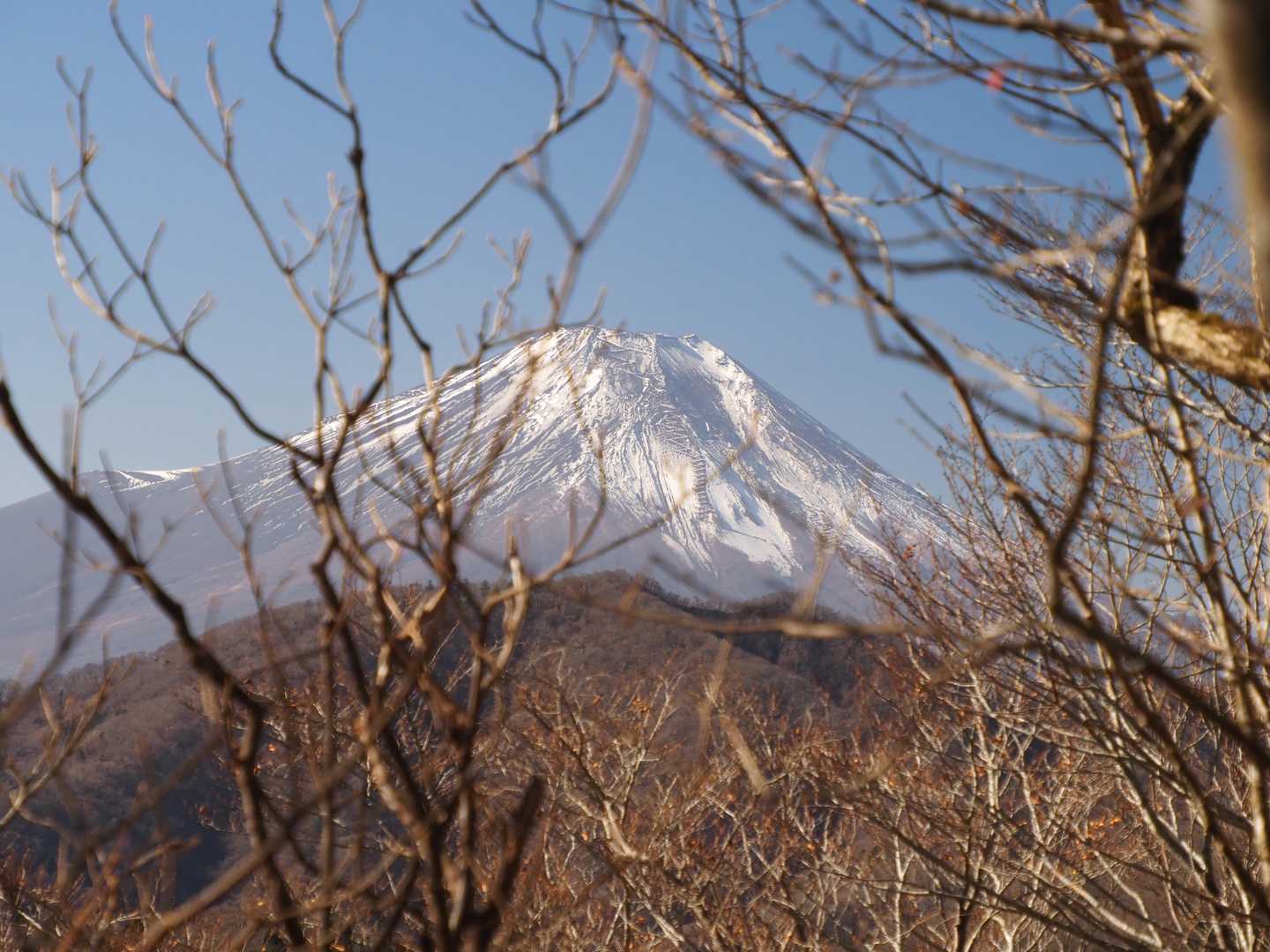 ベストの眺望でもこんな感じ（グリーンシーズンは葉隠するかも）