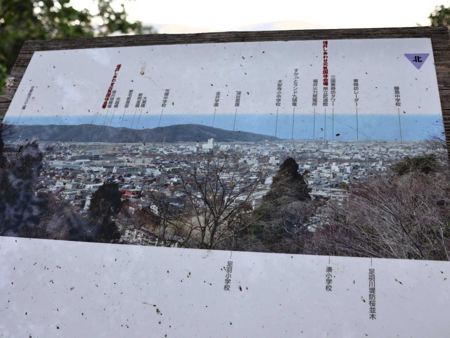 看板に挟まれた虫の死骸がキモくて直視できん🤣