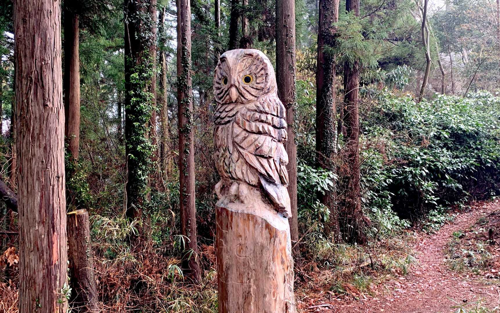 フクロウ先生健在。