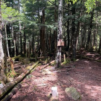和名倉山山頂に到着。なかなかの登り応えでした。