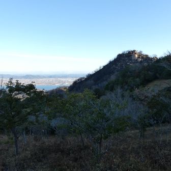 三頂山の北側も山火事の跡が痛々しいんだけど…