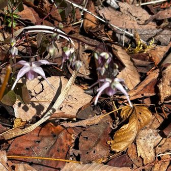 上から見たらこんな感じ⚓️