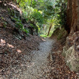 切通＝山を掘り下げて整備した道
鎌倉時代に作られたものだと思うと感慨深い