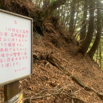 五百万はえぐいて