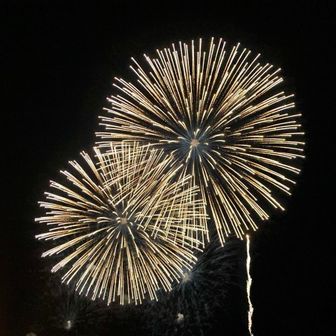 のんびり⭐︎とことこ