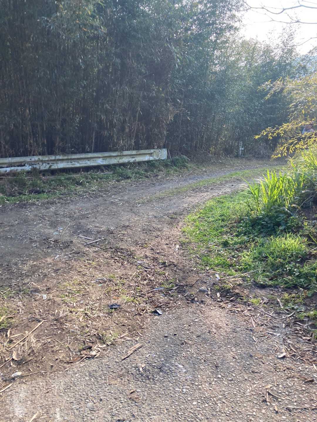 下道に戻ってきました。今日も楽しかったかな〜