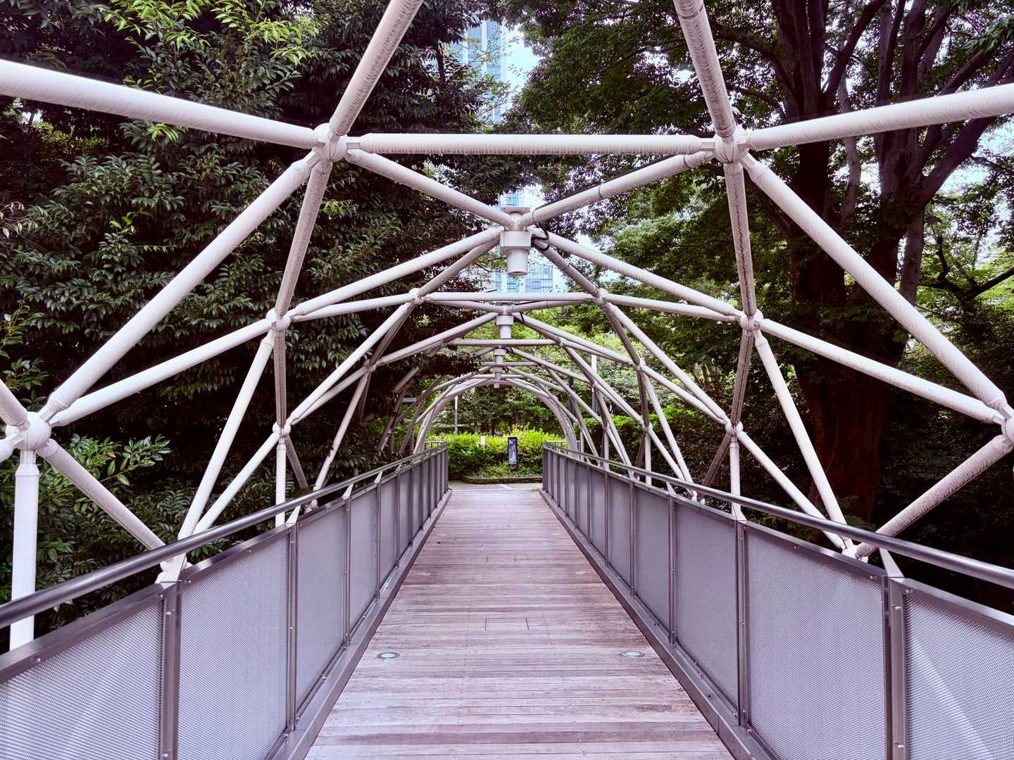 愛宕山-紅葉山 縦走コースの写真