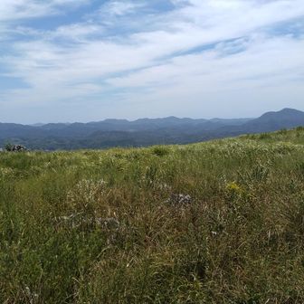 西の西山山頂