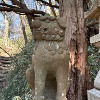 悠久ヶ原（北島）