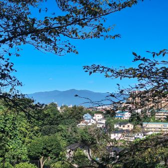 丹沢山塊がくっきり。