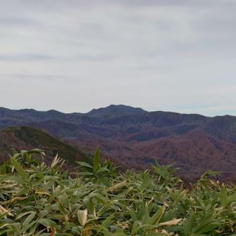 大平山🐻❁