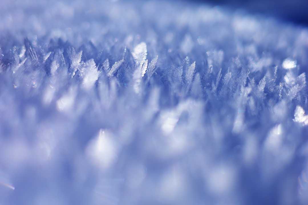雪は色んな形があって美しい❄️