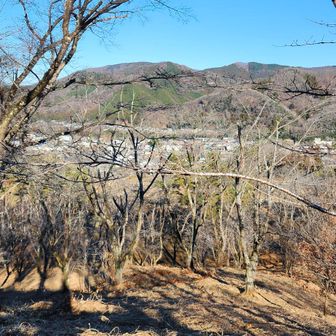 4月に咲き誇る野土山の千本桜🌸は圧巻です。