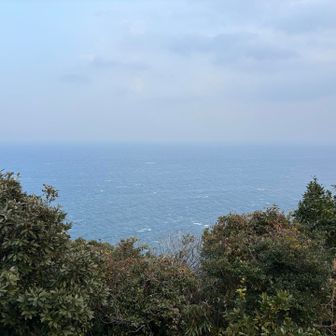 寒冷前線が抜けきったせいか晴れてきた。この後、西風ビュービューだと困るなぁ😅