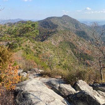 まだまだ続きます